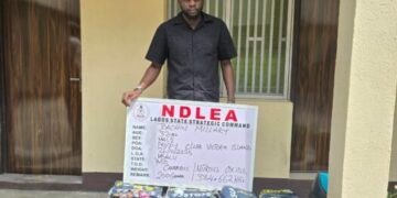 Yobe Drug Parties Are Illegal, NDLEA Warns Nightclub Owners, Fun Seekers