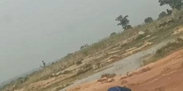 Netizen Raises Alarm Over Broad Daylight Theft Of Fibre Optic Cables Along Kaduna Highway