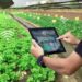 Farmers Launch Digital ID, Database For Accuracy 5 Farmers Launch Digital ID, Database For Accuracy