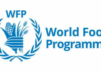 Fix Instability To Rebuild Livelihood In Northern Nigeria, WFP,  Others  Tell Govt