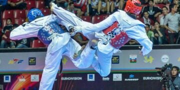 Monimichelle Korean Cultural Centre To Promote Taekwondo In Nigeria