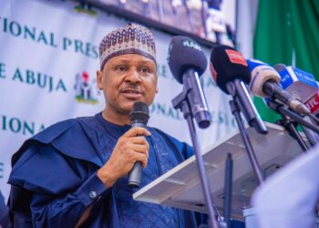 Nigeria To Host Maiden IPI Africa Meeting – Minister