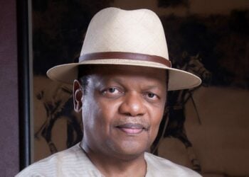 Majority Of Nigerians Had Lost Confidence In INEC, Judiciary — Peterside