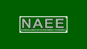 Energy Economists Seek Localised Solutions Amid Geopolitical Tensions 1 NAEE
