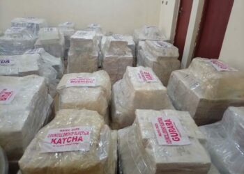 Niger Electoral Body Says Poll’ll Hold In Banditry-prone Areas