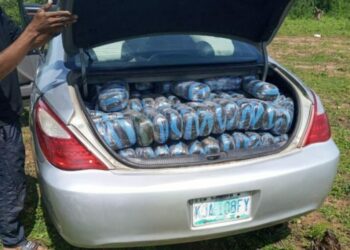 Troops Foil Movement Of Illicit Drugs In Nasarawa
