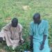 PICTORIAL: Troops Nutralise 9 Terrorists, Recover N5m Cash Ramsom In Borno 5 PICTORIAL: Troops Nutralise 9 Terrorists, Recover N5m Cash Ramsom In Borno