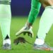 2026 WCQ: Mysterious Rat Disrupts Game As Belgium Beat Wales 4-2 5 2026 WCQ: Mysterious Rat Disrupts Game As Belgium Beat Wales 4-2