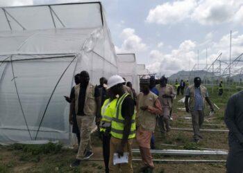 NALDA Rolls Out Greenhouse Project To Boost Vegetables Output