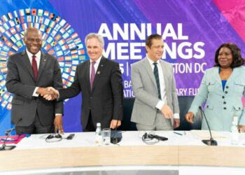 Nigeria Steps Into Spotlight At G-24 As Cardoso, Uzoka-Anite Signal New Economic Era