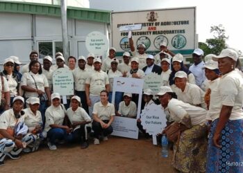 World Food Day: Stakeholders Rally Nigerians To Eat Local Rice For Food Security