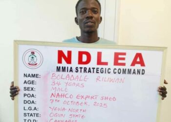 NDLEA Intercepts US, UK, DRC-bound Illicit Drug Consignments At Lagos Airport