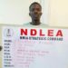 NDLEA Intercepts US, UK, DRC-bound Illicit Drug Consignments At Lagos Airport