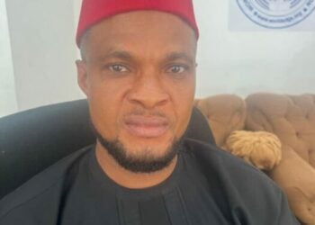 Okoye Pledges Dedication As Anambra SDGs Coordinator