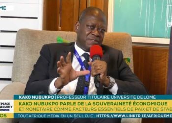 CFA Franc: Togolese Expert Calls For Monetary Sovereignty For Francophone Africa