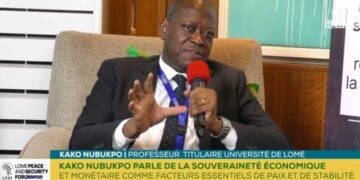 CFA Franc: Togolese Expert Calls For Monetary Sovereignty For Francophone Africa