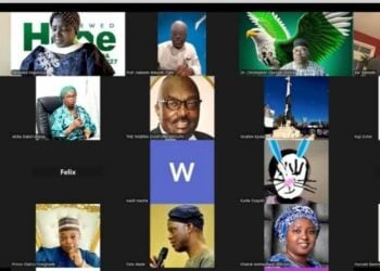 Nigerians In Diaspora Key To National Development  – Molokwu