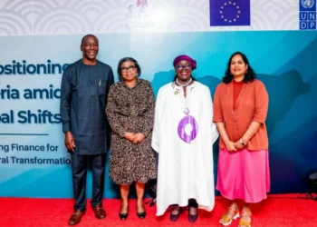 UNDP Flags Data Gaps, Poor Coordination As Barriers To Africa’s Credit Ratings