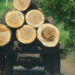 Nigeria Loses 400,000 Hectares of Forest Annually — Experts Warn 5 Nigeria Loses 400,000 Hectares Of Forest Annually, Experts Raise Alarm