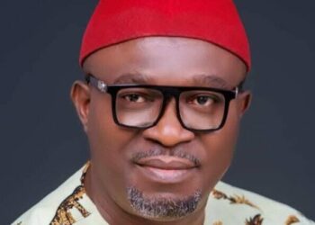 Ex-PDP Acting Secretary Udeh Okoye Quits Party, Says It Has ‘Lost Moral Compass’