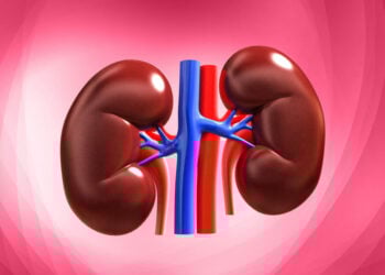 How Smart Nutrition Can Prevent, Manage Kidney Disease