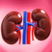 How Smart Nutrition Can Prevent, Manage Kidney Disease