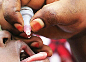 Federal Govt Contains Foot, Mouth Disease In Jigawa