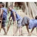 Polio Cases Drop By 44% Nationwide — NEC
