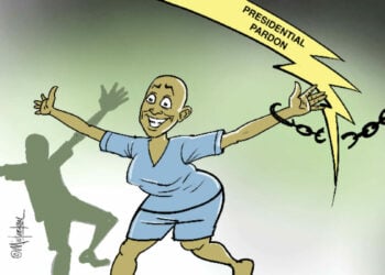 Much Ado About A Presidential Defence