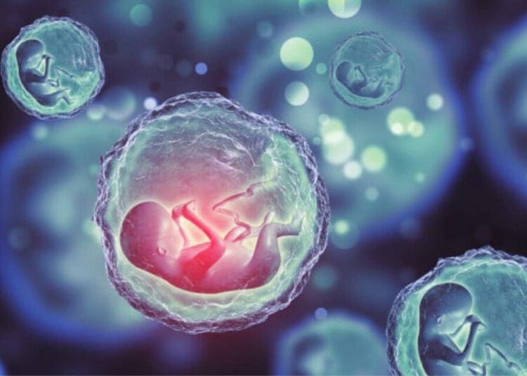 IVF Centres