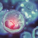 Eggs, Sperm For Sale: Deadly Price A'Ibom Students Pay At IVF Centres For Quick Wealth 5 Eggs, Sperm For Sale: Deadly Price A’Ibom Students Pay At IVF Centres For Quick Wealth