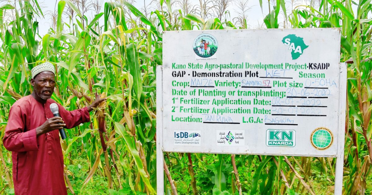 Kano Agro-project, Sasakawa Support 477,284 Smallholder Farmers