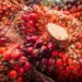 Food Or Poison? How Vendors Mix Diesel With Palm Oil, Add Dye To Make It Reddish, Attractive
