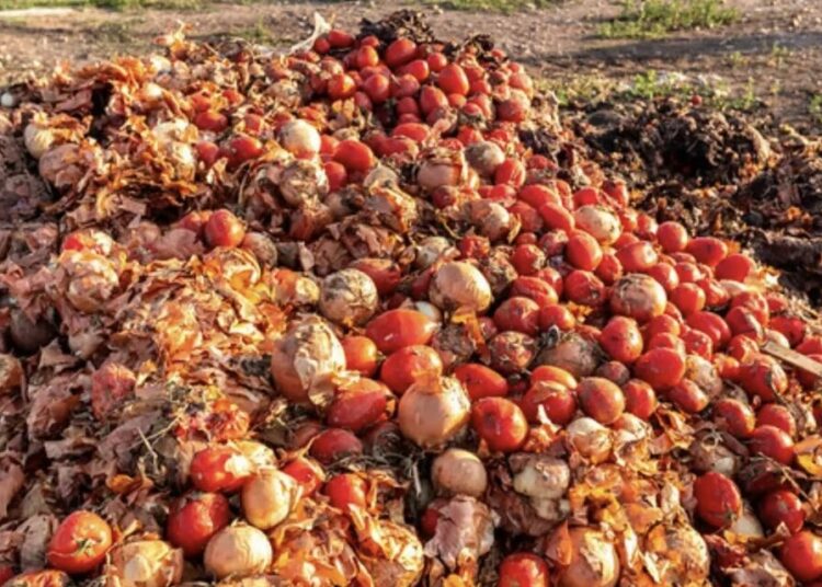 'Post-Harvest Losses In Kano HAve Reduced by 51% ' 1 4CAB6836 F987 4079 BC32 914E8C2FB55B