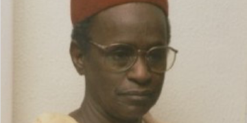 Nigeria’s Leaders Losing Focus Under Mounting Pressures – Gidado