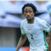 Fredrick Will Be A Big Loss For Super Eagles At AFCON 2025' 5 Fredrick Will Be A Big Loss For Super Eagles At AFCON 2025′