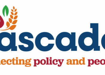 Bauchi Women Farmers Get Bumper Harvests In Soybean