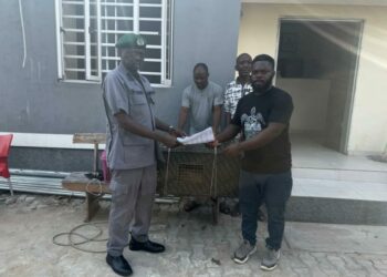 PICTORIAL: Customs Foils Attempt To Smuggle Lion Cub, Monkeys To Benin Republic