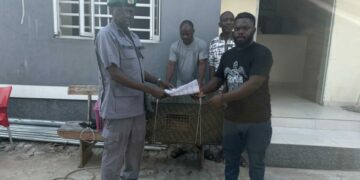 Supreme Court PICTORIAL: Customs Foils Attempt To Smuggle Lion Cub, Monkeys To Benin Republic