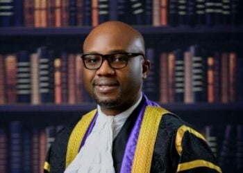 Enugu Traditional Rulers Laud Tinubu Over Minister Udeh