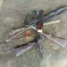 2 Suspected Hoodlums Shot Dead By Police, 3 Arrested In Foiled Kidnap Attempt