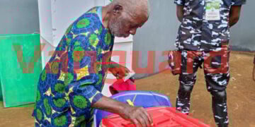 Anambra Poll: Centenarian, Visually Challenged Voters Cast Ballot