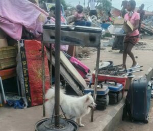PICTORIAL: Lagos Government Demolishes Buildings Under Powerlines 2 IMG 20251111 WA0013