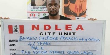 2023 NDLEA Arrests Wanted Baron, Recovers Drug Shipment, Forex In Lagos