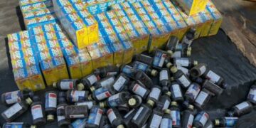 NDLEA Arrests 230 Suspects, Seizes Drug Cache In 30-day Kano Operation