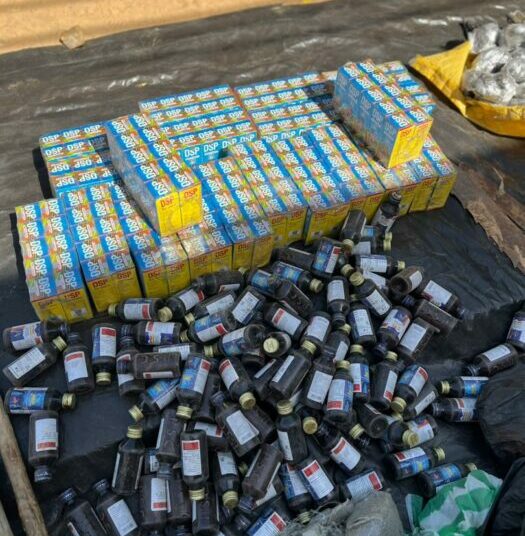 NDLEA Arrests 230 Suspects, Seizes Drug Cache In 30-day Kano Operation 1 IMG 20251121 WA0006