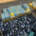 NDLEA Arrests 230 Suspects, Seizes Drug Cache In 30-day Kano Operation