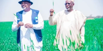 Jigawa Commends Sasakawa  Support For Agricultural Transformation