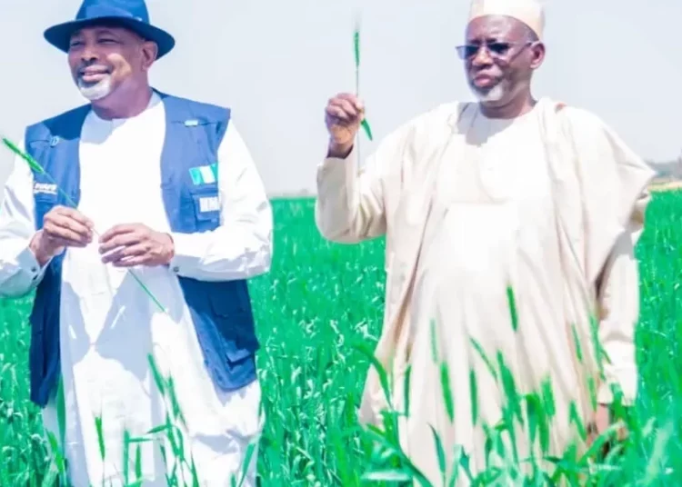 Jigawa Commends Sasakawa Support For Agricultural Transformation 1 IMG 5078