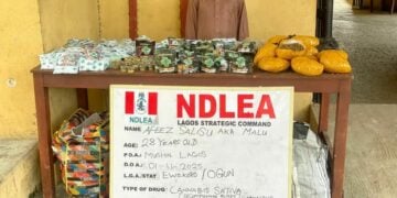 NDLEA Uncovers Fake Medicinal Cannabis In Lagos